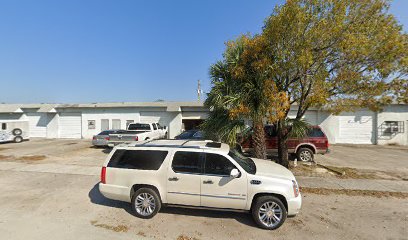 Negocio All Florida Window Tinting