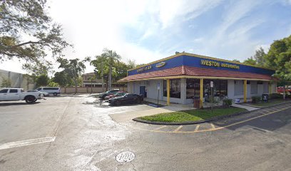 Negocio Diego Window Tint