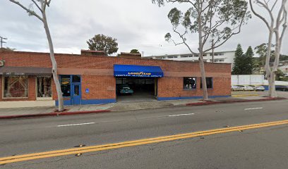 Negocio Executive Tint